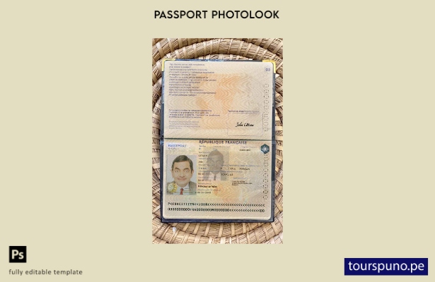 Plantilla de apariencia fotográfica de versión de pasaporte de Francia lista par